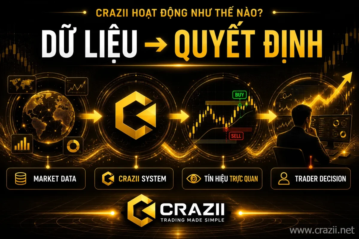 Crazii hoạt động như thế nào ?